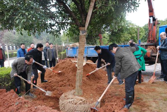 （中国）有限责任韦德网站开展植树活动